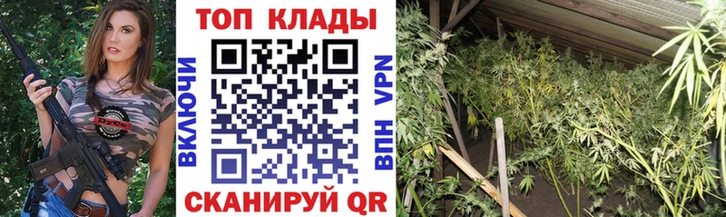 Каннабис Ковдор