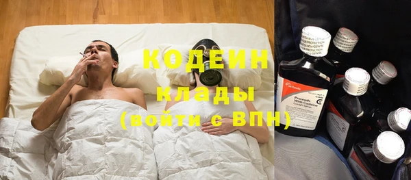 крисы Новодвинск