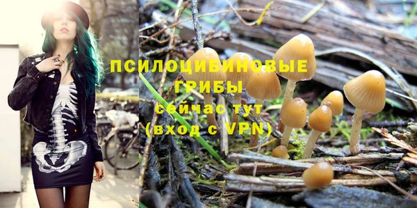 крисы Новодвинск