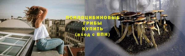 эйфоретик Новозыбков