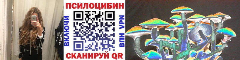 сколько стоит  Ковдор  Псилоцибиновые грибы Cubensis 